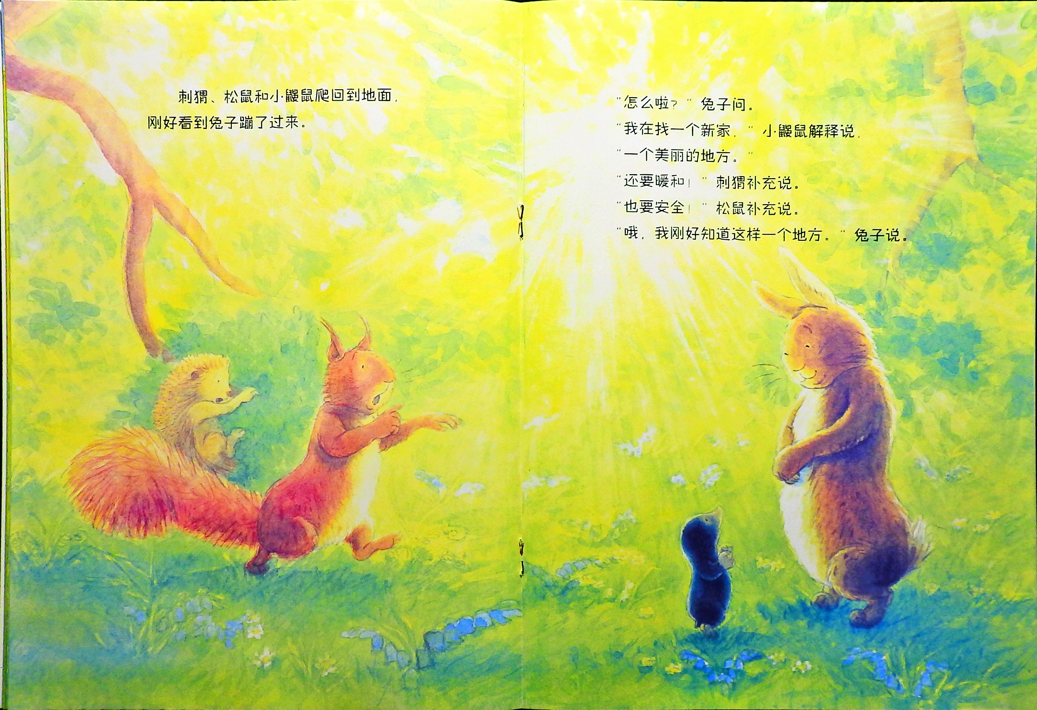 小鼹鼠找新家 (09),绘本,绘本故事,绘本阅读,故事书,童书,图画书,课外阅读
